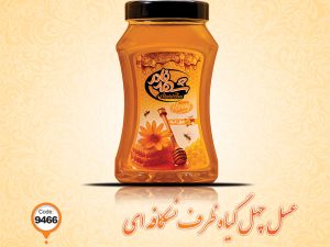 عسل چهل گیاه ظرف نسکافه ای کد 9466