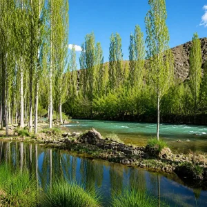 رودخانه انار بار