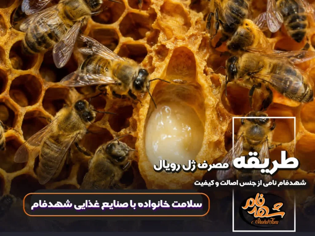 طریقه مصرف زل رویال